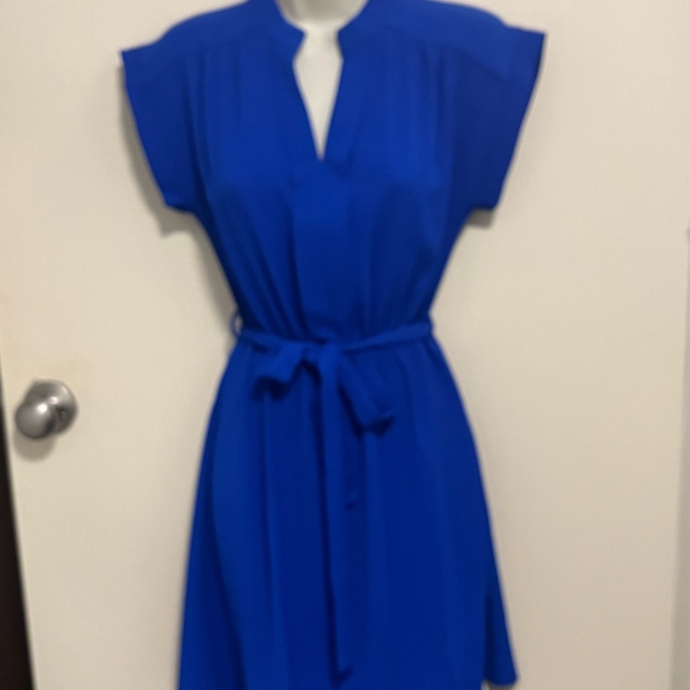 Elegant Blue Dress